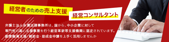 経営者のための売上支援/経営コンサルタント