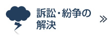 訴訟・紛争の解決